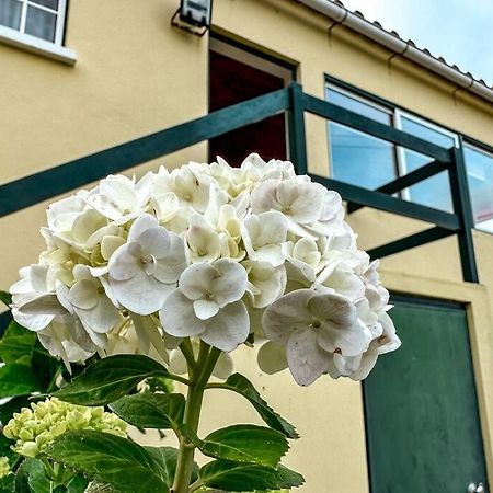 Biscoitos Luana Houseアパートメント エクステリア 写真